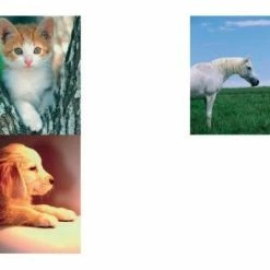 Herlitz Zeichnungsmappe/Sammelmappe DIN A3, Motiv: Tiere