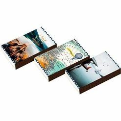 Spiegelburg Sicherheitszündhölzer Taste The Wild, Sort. Reisezeit